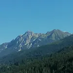 Lexahaus *