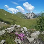 Lexahaus *
