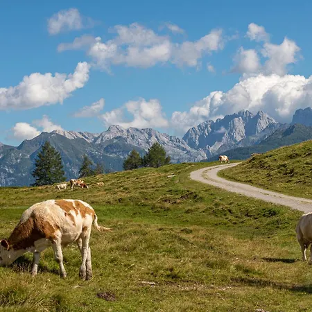 Apartamento Lexahaus *