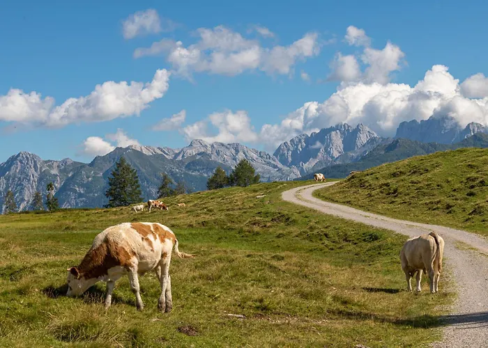 アパート Lexahaus *