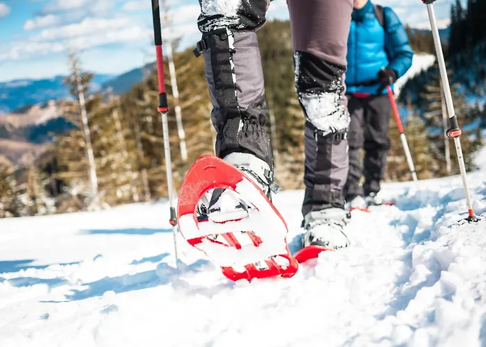 アパート Lexahaus